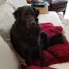 katdelong4 - @katdelong4 - TikTok