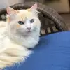 katdennisgoetsch - @katdennisgoetsch - TikTok