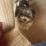 Kay Downing - @kaydc21 - Instagram