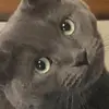 kate_godfrey - @kate_godfrey - TikTok