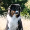 Kat Hicks - @katinthehat03 - TikTok