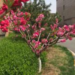 加藤  龍井 - @kato.longjing - Instagram