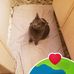 Kat Long - Facebook