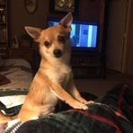 Kat McBride - Facebook