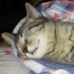 Kit-kat McIntosh - Facebook