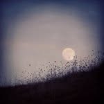 Katelyn Merrill - @katelynmerrillphotography - Instagram