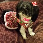 Kathy Merrill - @kathymmerrill - Instagram