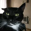 katmoo - @kathymoody131 - TikTok