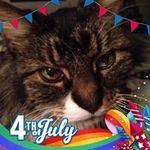 Kay Neff - @neff.kay - Instagram