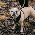 Kat Nelson - @nels.kat - Instagram