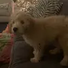 Kathryn Norton - @kathryn.norton - TikTok