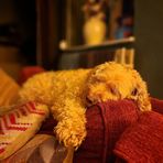 Katy Overton - Facebook