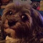 Kay Overton - @over3371 - Instagram