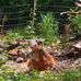 Kat Owen - Facebook