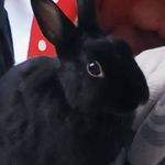 Kat Palmer - @i.am.just.kat - Instagram