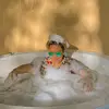 Kat Parr - @katparrrr - TikTok