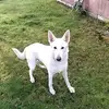 Kat Parsons - @katparsons1 - TikTok