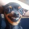 katpearsons - @katpearsons - TikTok