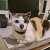 Katper - @katper97 - TikTok