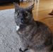 Kath Peters - Facebook