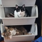 Katie Pollard - Facebook