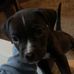 Kate Proctor - Facebook