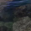 Екатерина Смирнова - @katpuma23 - TikTok