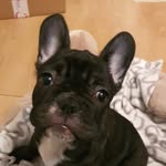 Kat Puma - @kathryndoering76 - Instagram