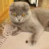 puma - @puma_kat - TikTok