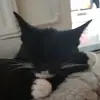 user3815730569567 - @puma_de_kat - TikTok