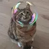 Katra B - @katra_bongcha - TikTok