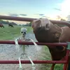 Kat - @kat_ramsey - TikTok