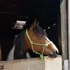 Kat Reeves - @kat.reeves6 - TikTok