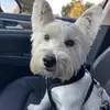 kat.reeves - @kat.reeves - TikTok