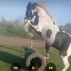 kat rich - @user17066907 - TikTok