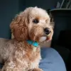 Kat Richardson - @kat.rich.88 - TikTok