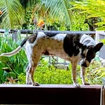 Kat Richards - @mr.monster_2 - Instagram
