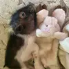 Katrina Robbins - @katrinarobbins1026 - TikTok