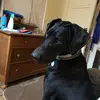 katrocks7747dog - @katrocks7747dog - TikTok