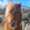 Kat Russell - @katrussell71 - TikTok