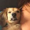 Kat Steele - @dixykat - TikTok