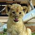 Kat Sullivan - Facebook