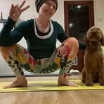 Kat Weaver - @rockythedogstar3 - Instagram