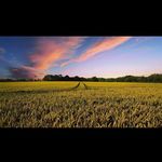 Katalin Cseh - @katalin.cseh.967 - Instagram