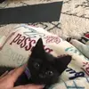 Katalin Varga - @vargakatalin8 - TikTok