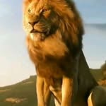 Jackson Katanda - @jacksonkatanda - Instagram