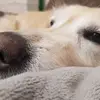 katarinagray5 - @katarinagray5 - TikTok