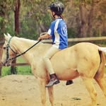 WILD AND FREE - @katarina_gray_11 - Instagram