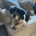 Kate Ahern - Facebook