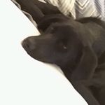 Kate Coffield Aiello - @katecoffieldaiello - Instagram